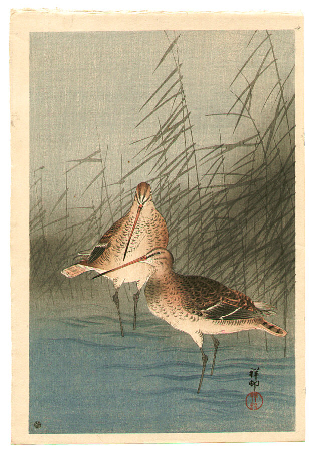 Ohara Koson - Two Snipes