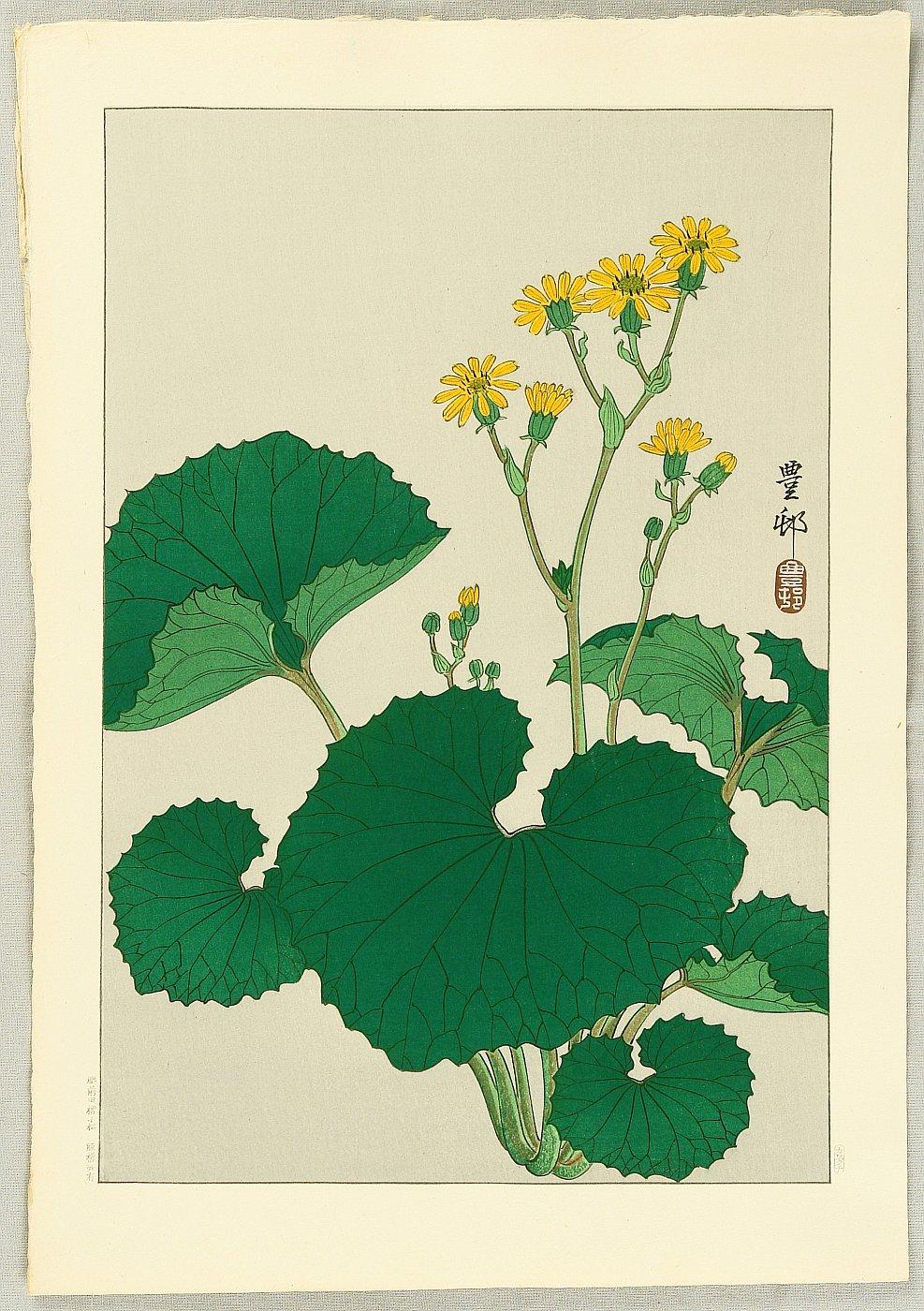 Ohara Koson - Ligularia