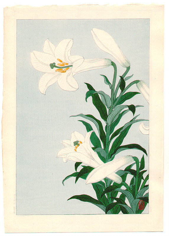 Ohara Koson - White Lily