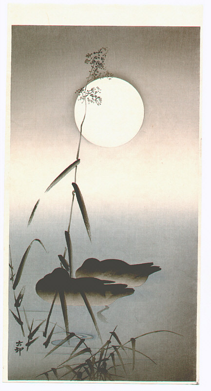 Ohara Koson - Sleeping Mallards (Muller Collection)