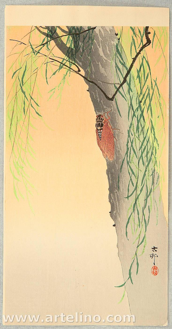 Ohara Koson - Cicada on a willow tree