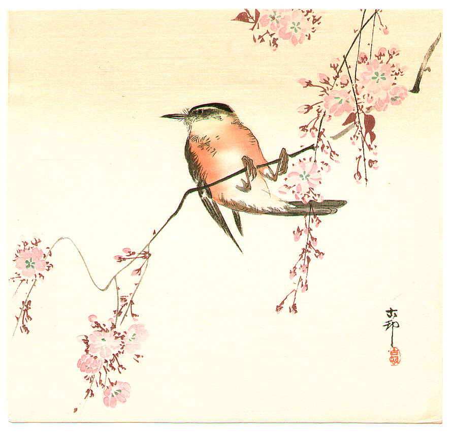 Ohara Koson - Orange Bird and Cherry Blossom