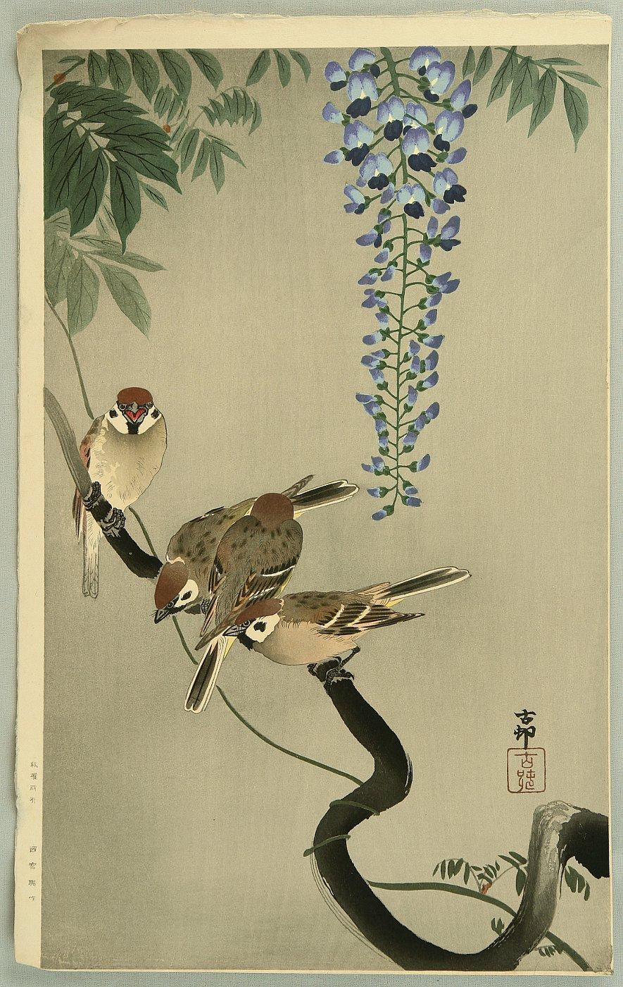 Ohara Koson - Sparrows and Wisteria