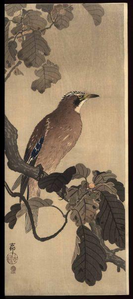 Ohara Koson - Jay on an oak branch