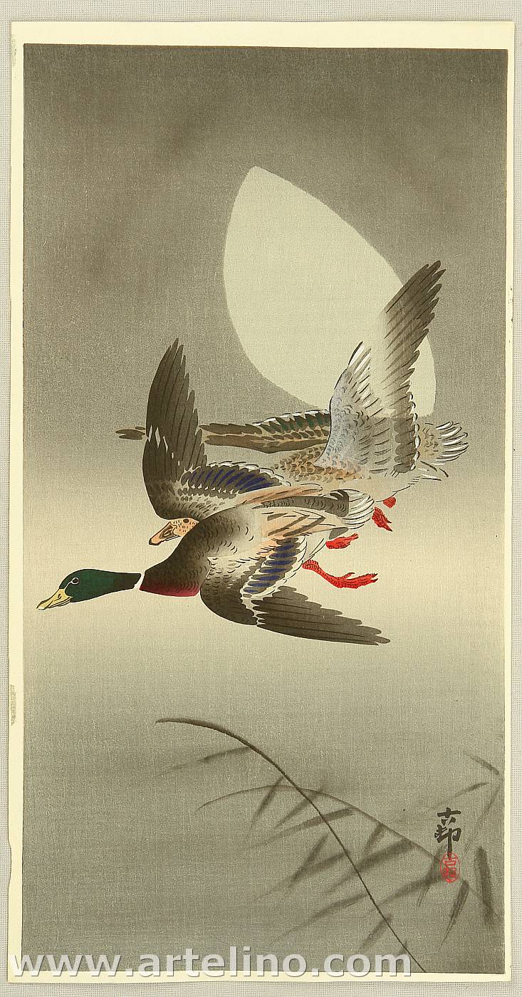 Ohara Koson - Two Mallards