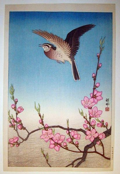 Ohara Koson - Skylark Above Blossoming Peach