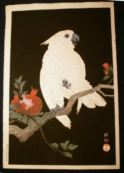 Ohara Koson - Parrot and Pomegranate- Cockatoo