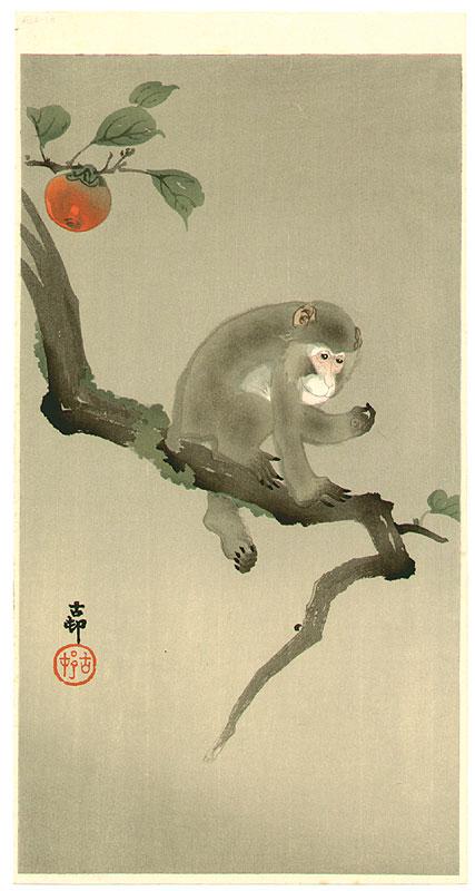 Ohara Koson - Monkey in a Tree