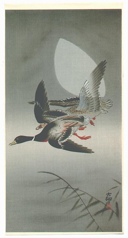 Ohara Koson - Two Mallards