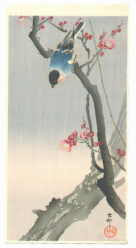 Ohara Koson - Blue Bird on a Plum Tree