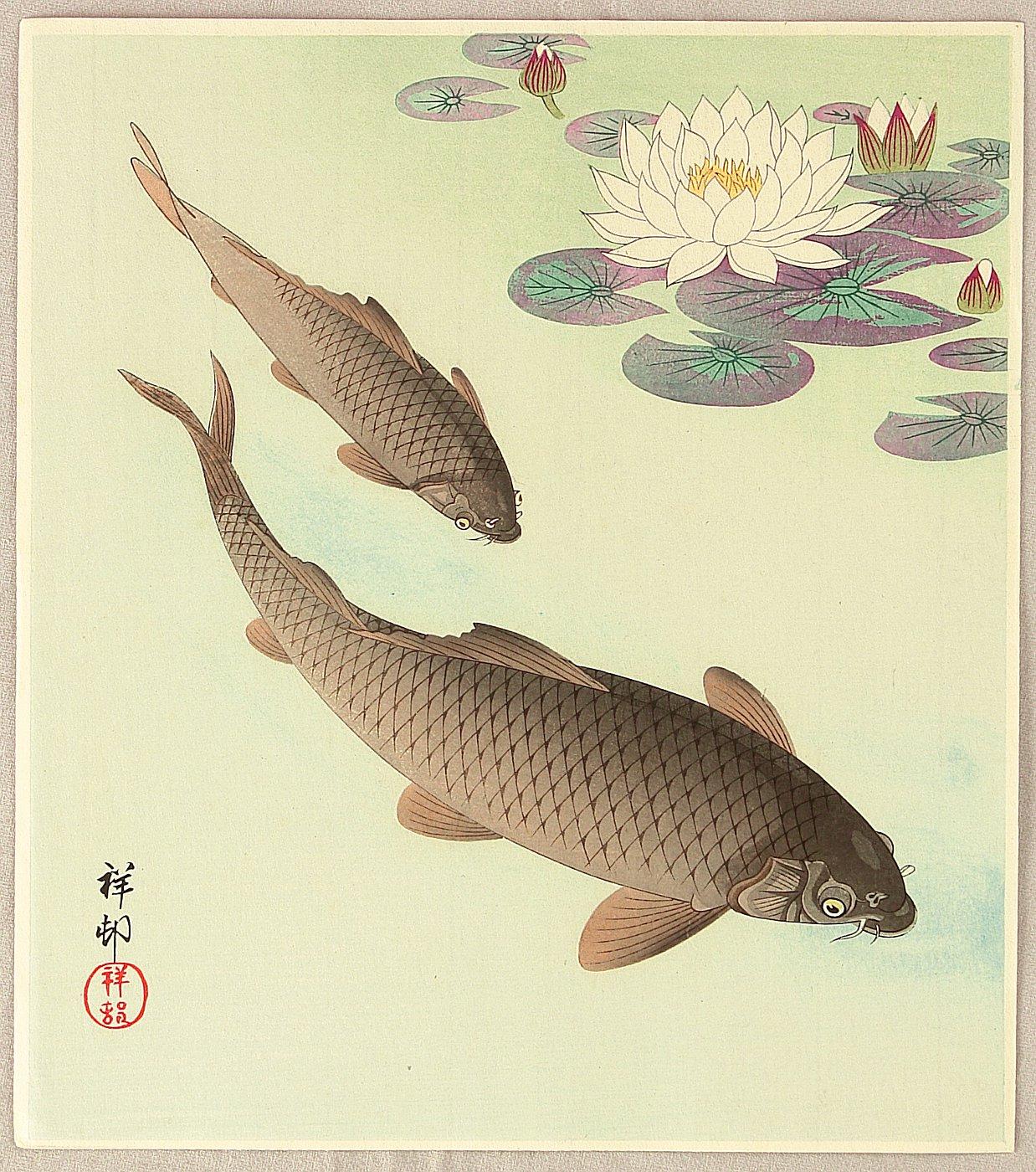 Ohara Koson - Two Carp and Water Lily Pad