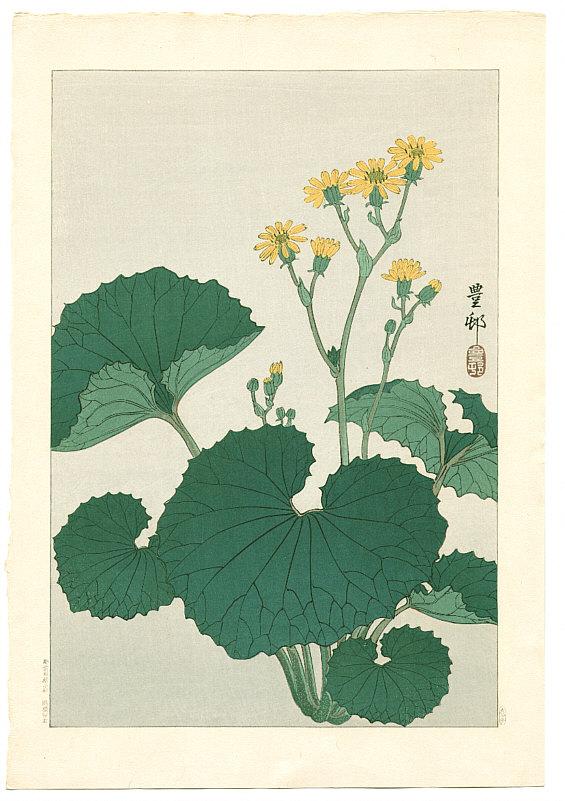 Ohara Koson - Ligularia (Muller Collection)