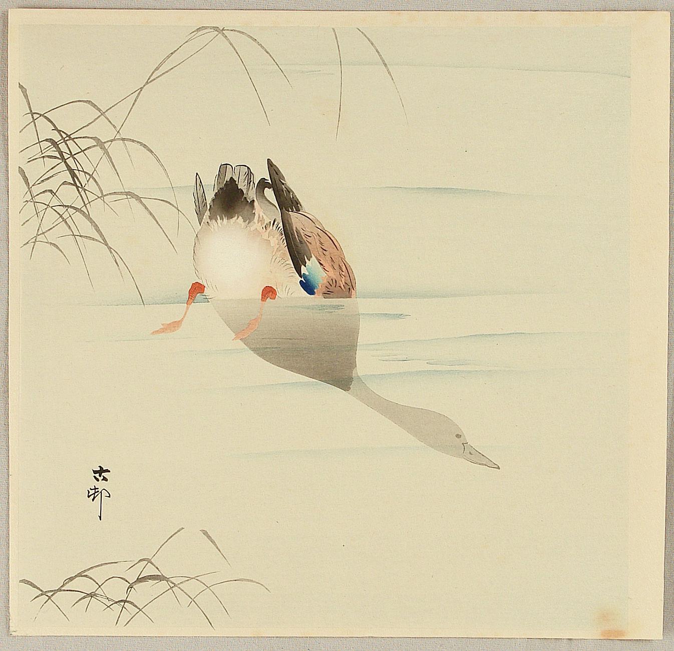 Ohara Koson - Diving Mallard