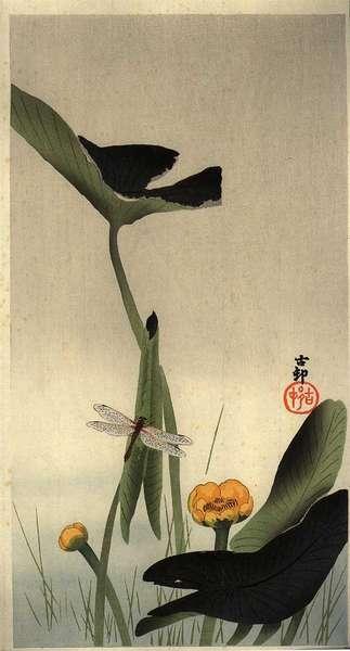 Ohara Koson - A Dragonfly resting on a Lotus stem