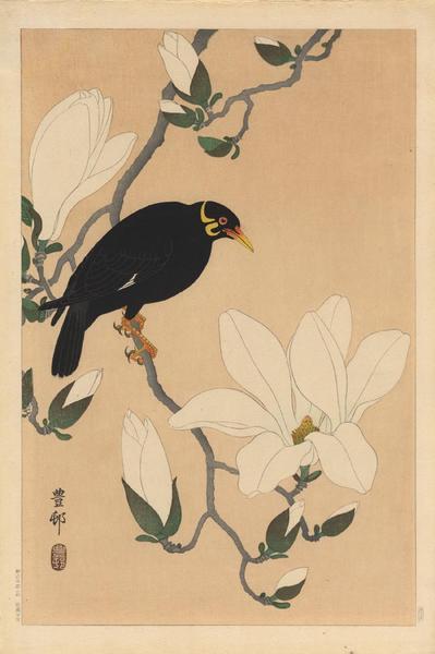 Ohara Koson - Myna bird- Indian Hill Minor and Magnolia