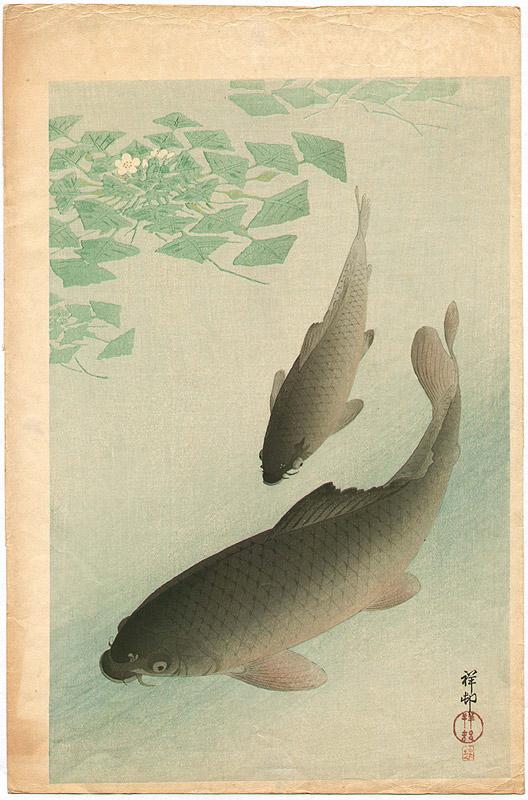 Ohara Koson - Two Carp and Blooming Water Plants