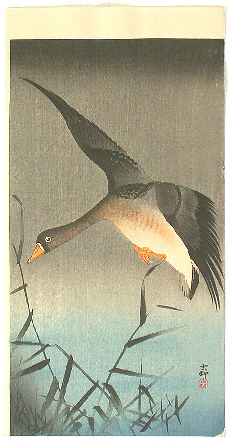 Ohara Koson - White-fronted Goose (Muller Collection)