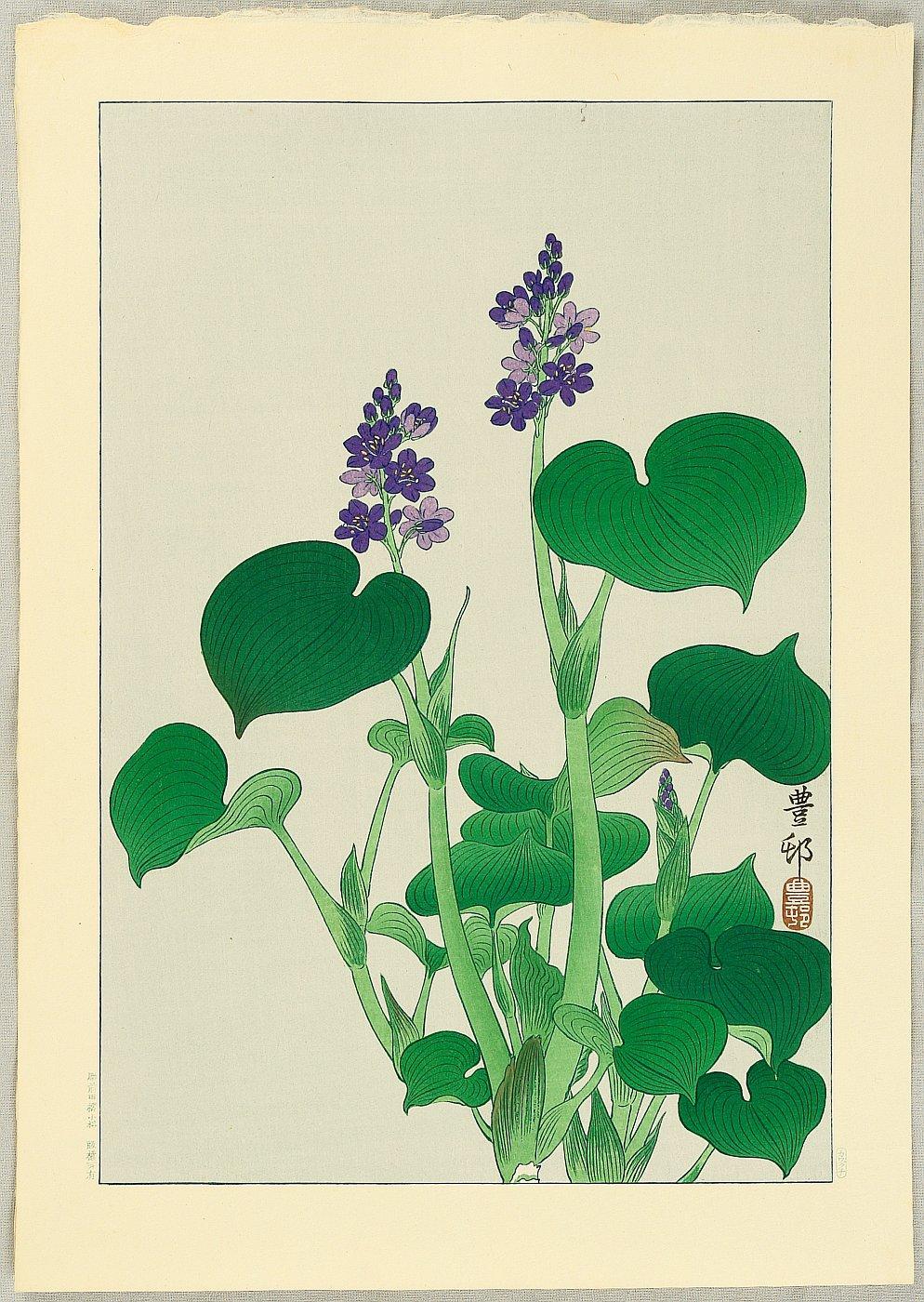 Ohara Koson - Purple Flowering Hosta