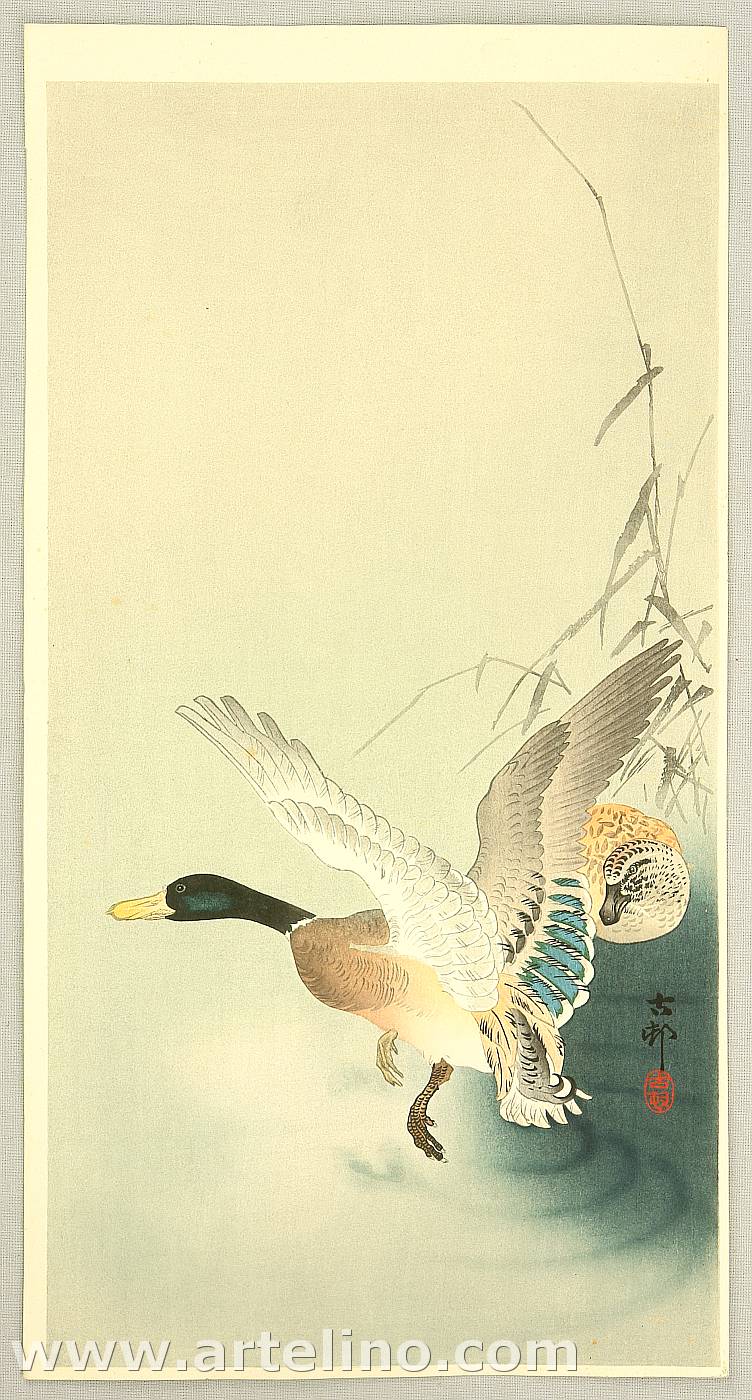 Ohara Koson - Mallard Flying from a Pond