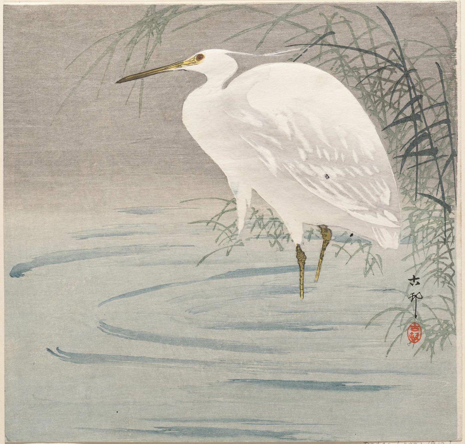 Ohara Koson - Snowy heron standing beside reeds in water