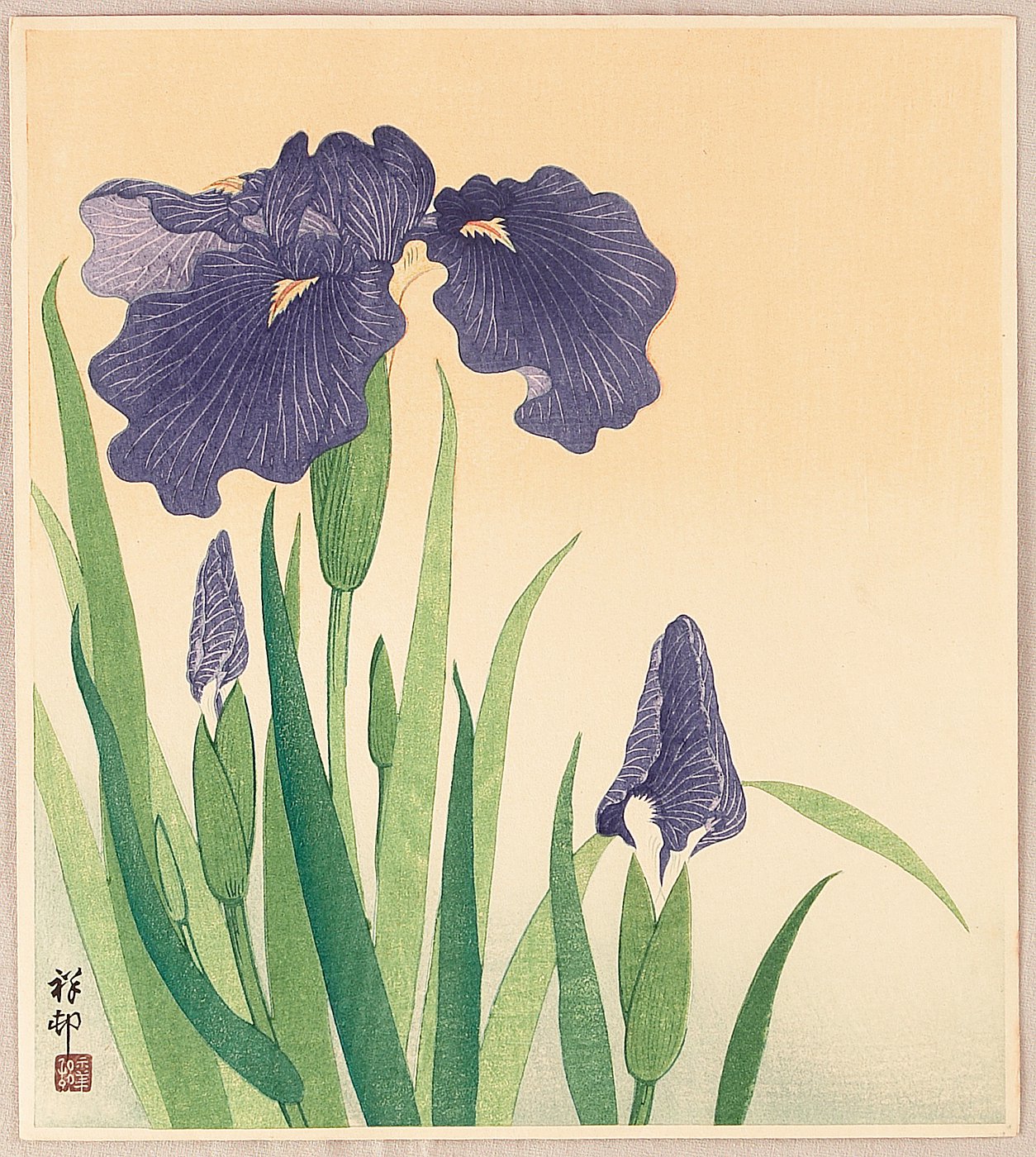 Ohara Koson - Flowering Iris