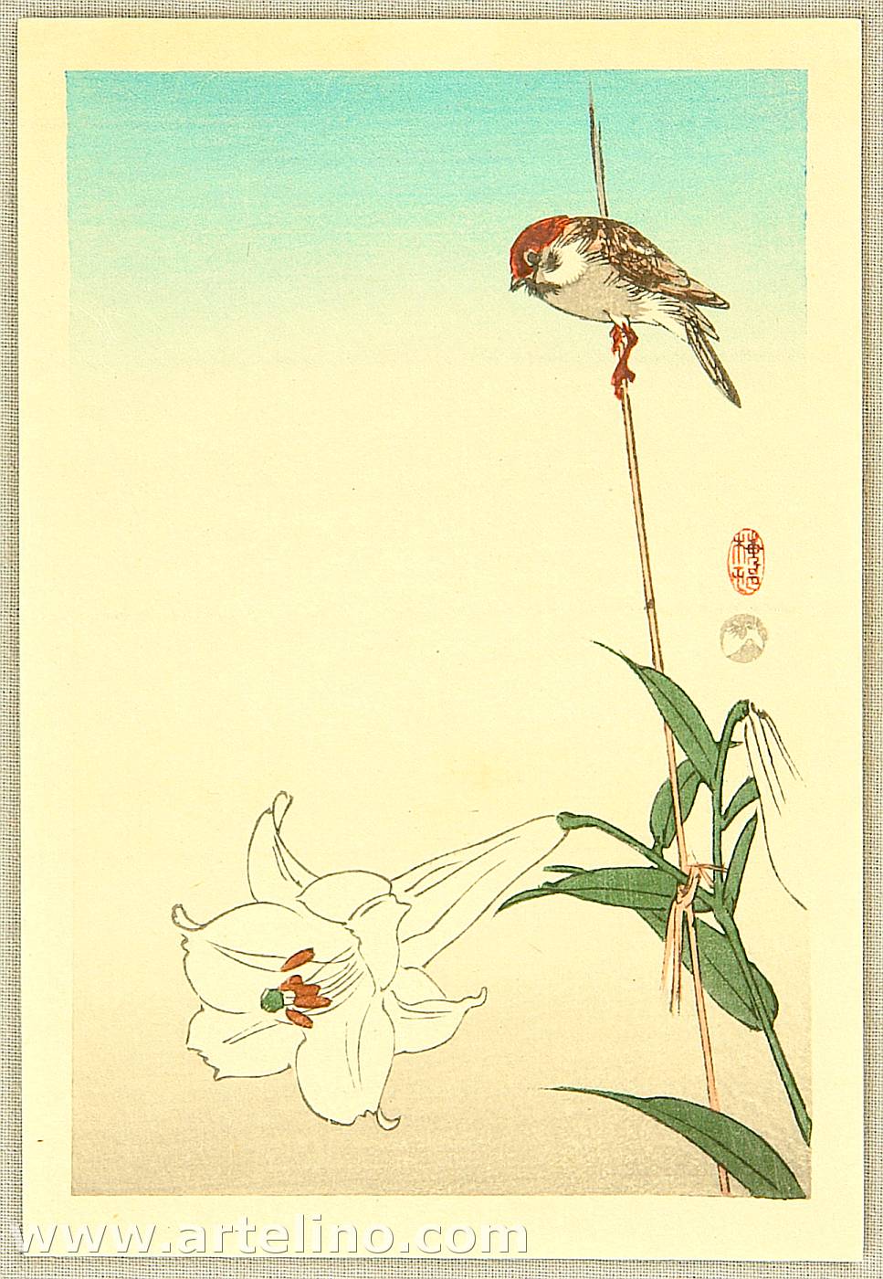 Ohara Koson - Sparrow and Lily