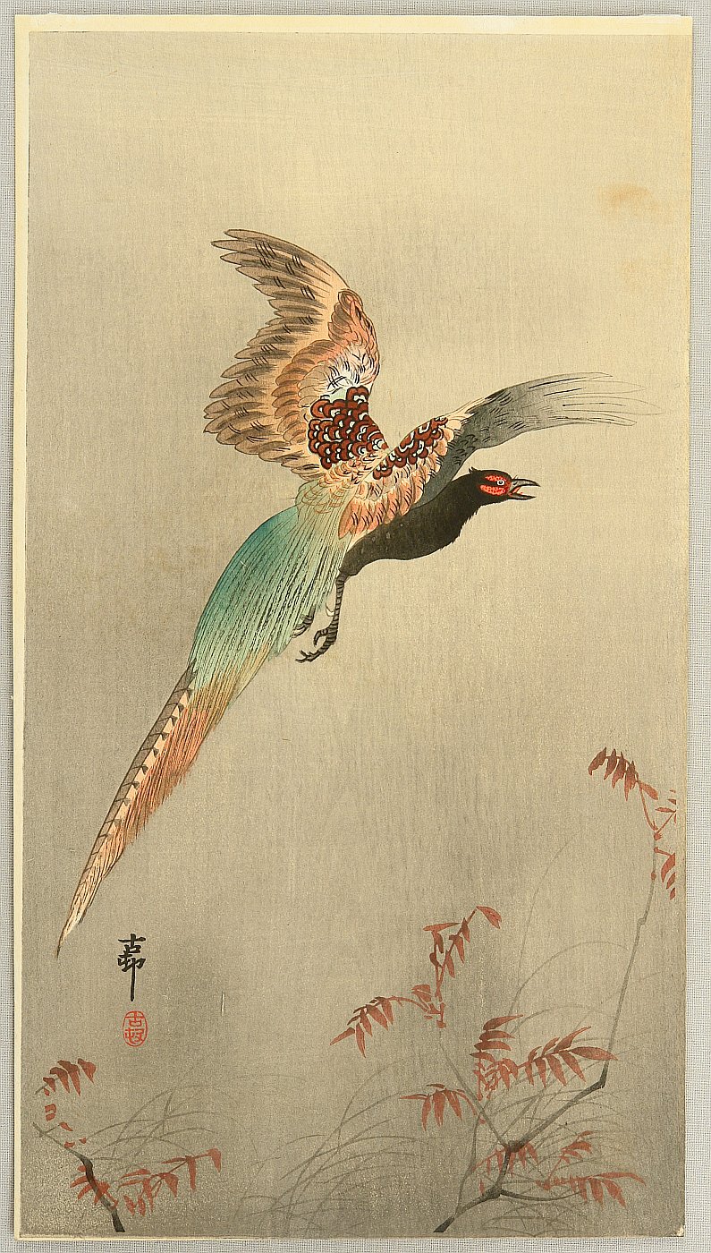 Ohara Koson - Pheasant in Flight