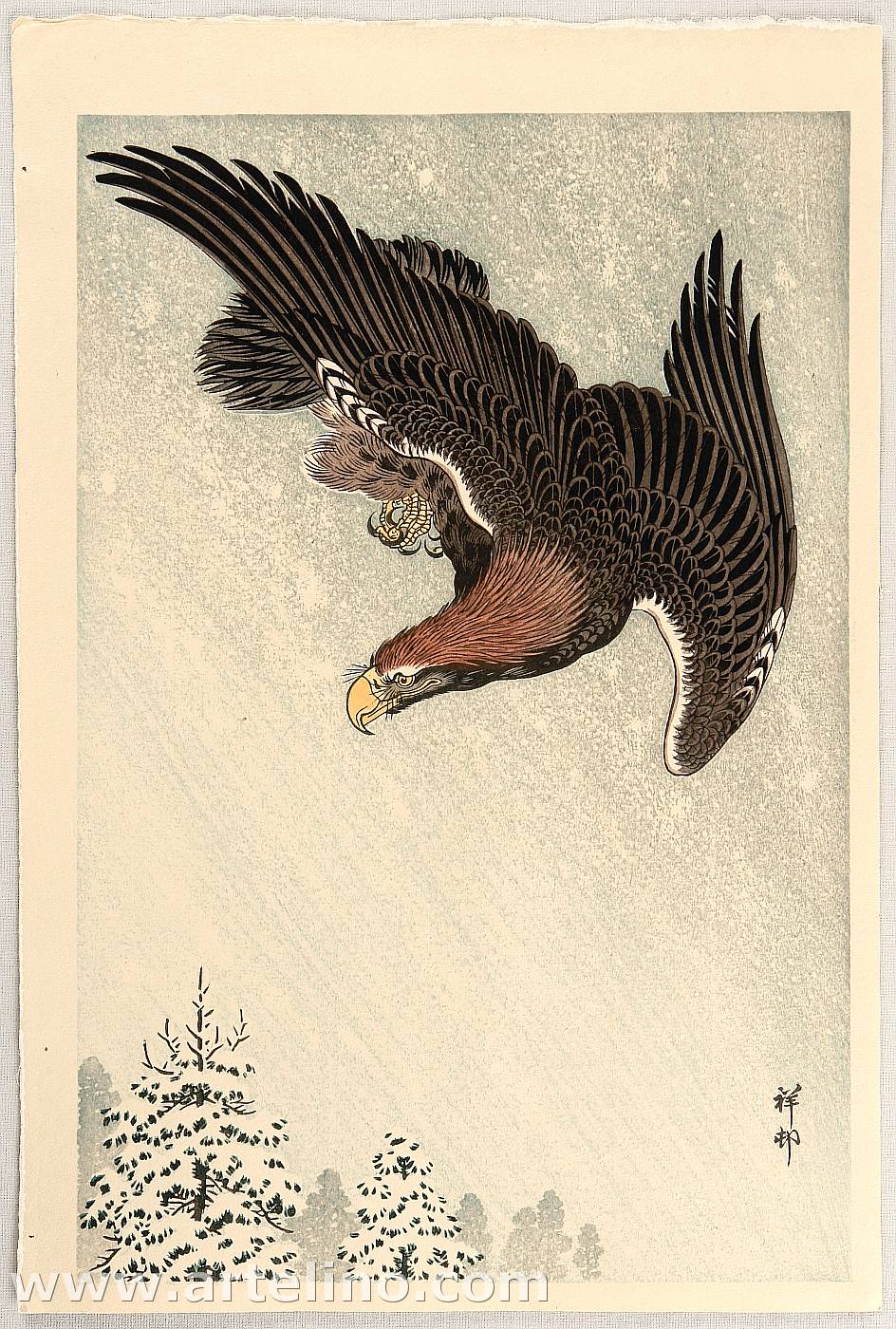 Ohara Koson - Eagle in Flight against Snowy Sky