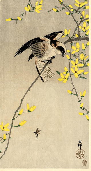 Ohara Koson - Bird and Insect