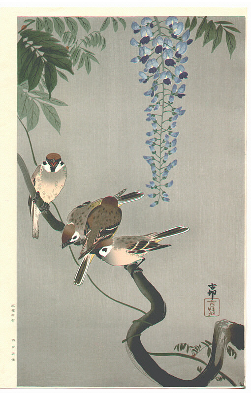 Ohara Koson - Sparrows and Wisteria (Extra Large)