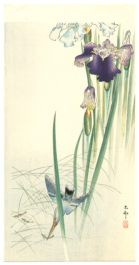 Ohara Koson - Iris and Kingfisher