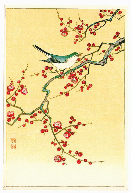 Ohara Koson - Bird and plum tree