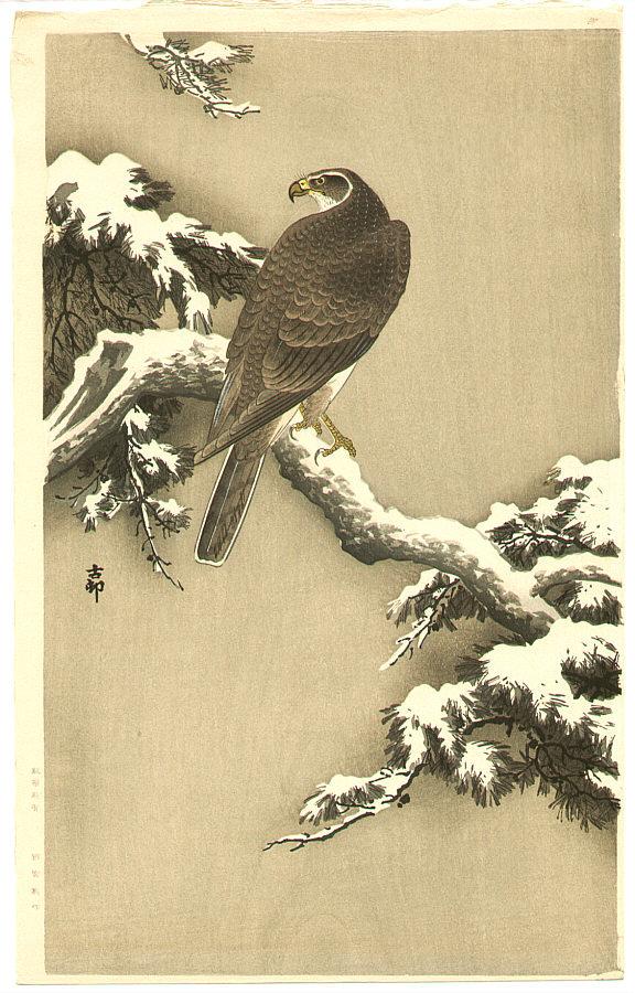 Ohara Koson - Goshawk on a Snow Covered Pine Branch