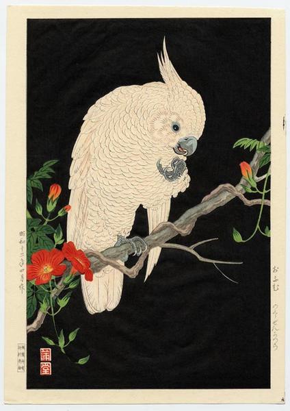 Ohara Koson - Omu, Parrot