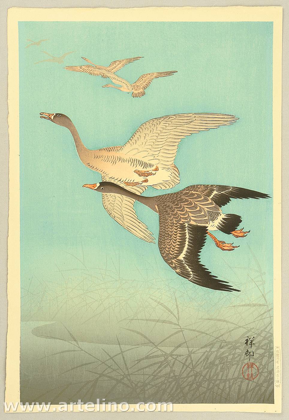 Ohara Koson - Flock of Geese