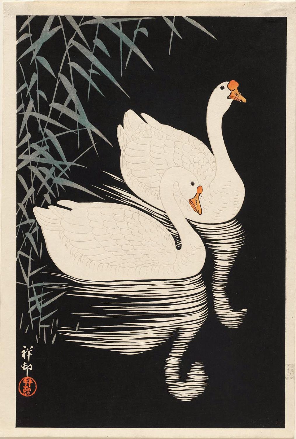 Ohara Koson - Two white geese swimming by reeds