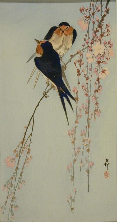 Ohara Koson - Swallows and Hanging Cherry Blossoms