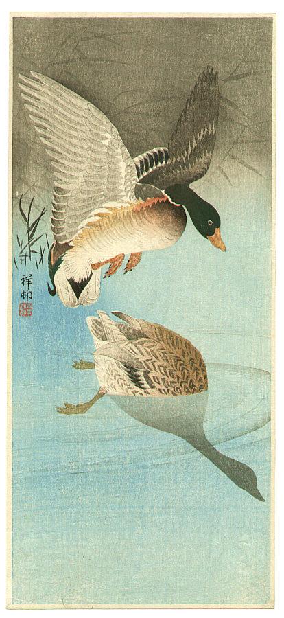 Ohara Koson - Two Mallard Ducks in a Pond