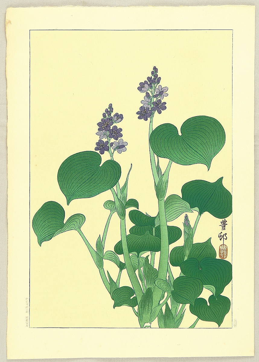 Ohara Koson - Purple Flowering Hosta