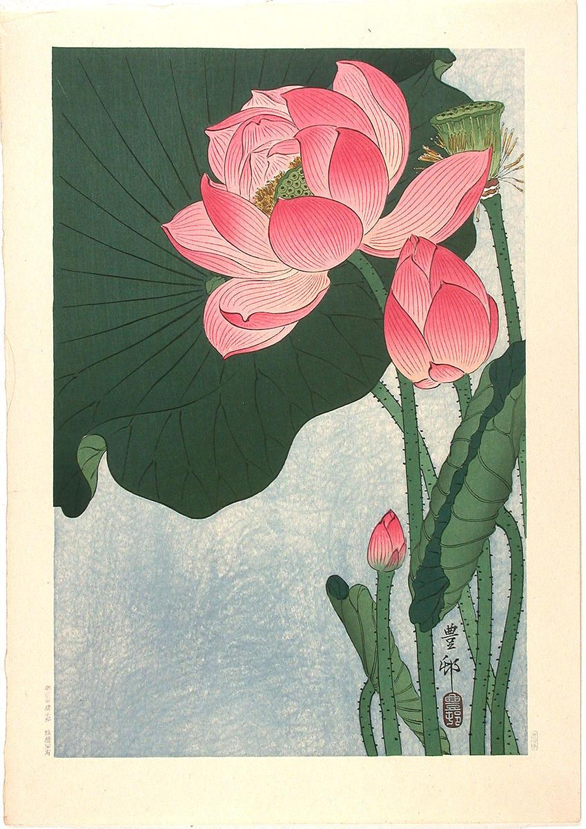 Ohara Koson - Flowering Lotus
