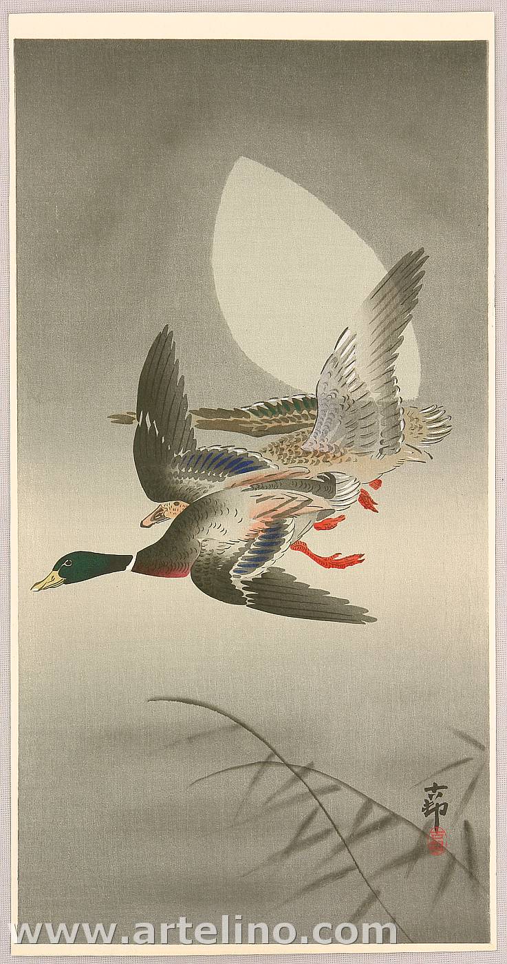 Ohara Koson - Two Mallards