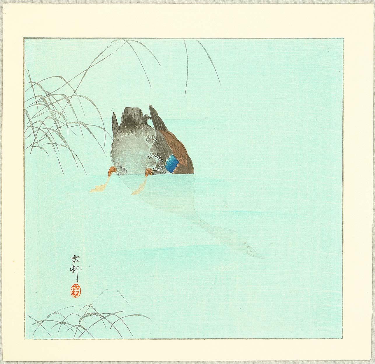 Ohara Koson - Diving Mallard (blue version)