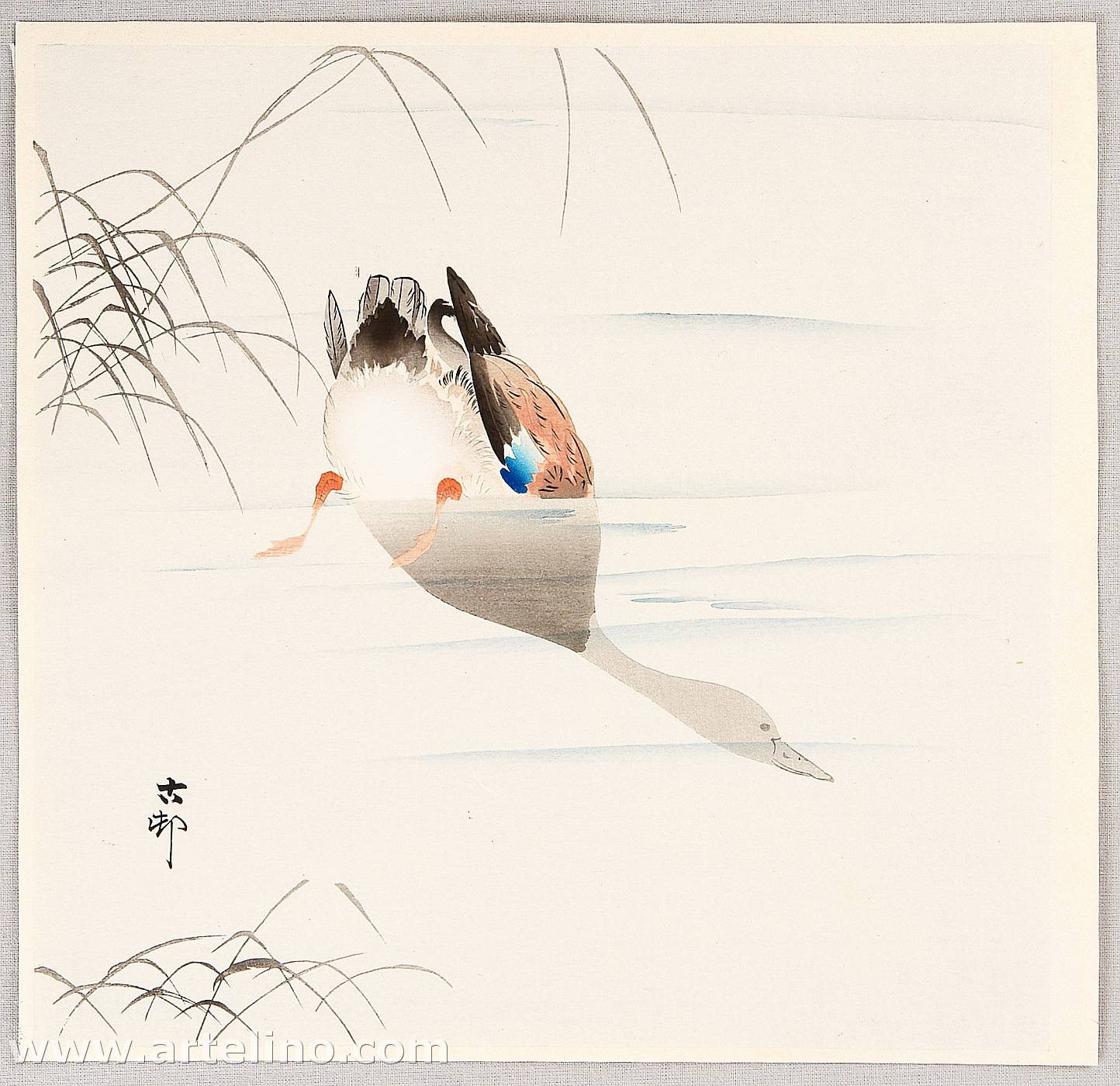 Ohara Koson - Diving Mallard