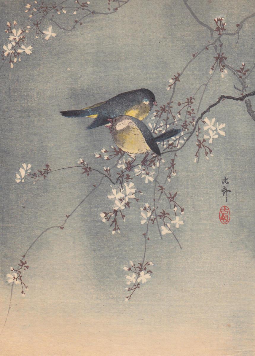 Ohara Koson - Finches in Cherry Tree