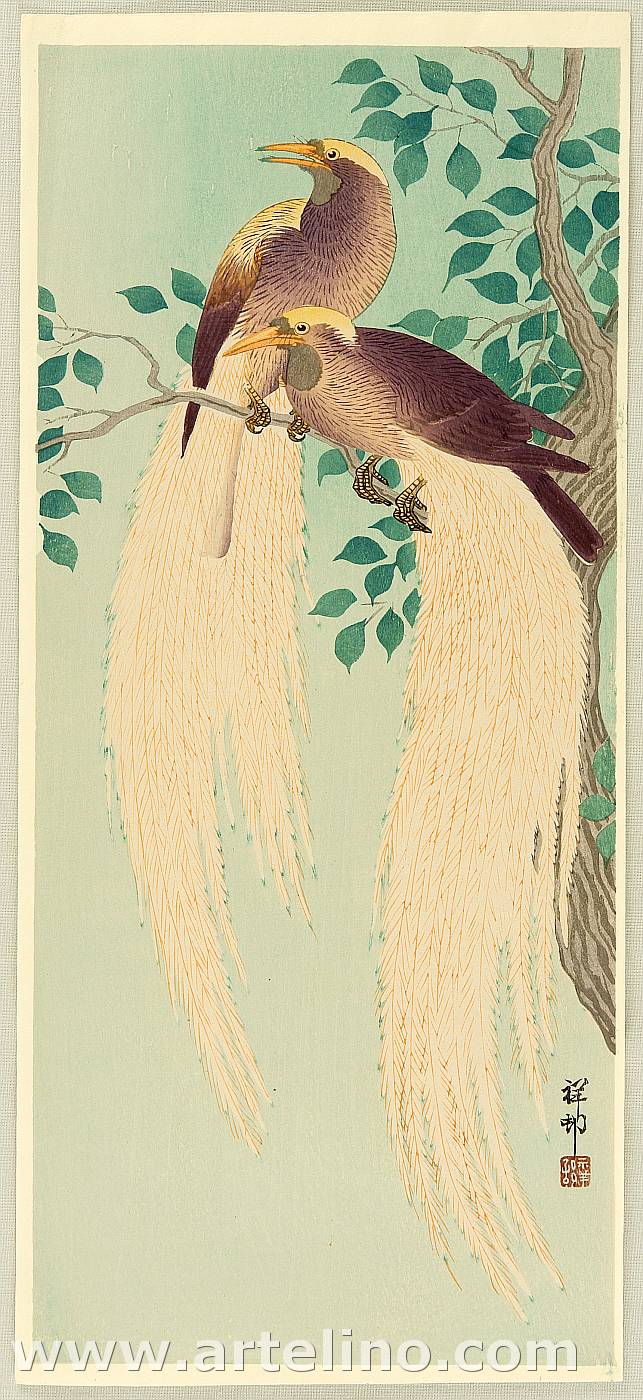 Ohara Koson - Birds of Paradise