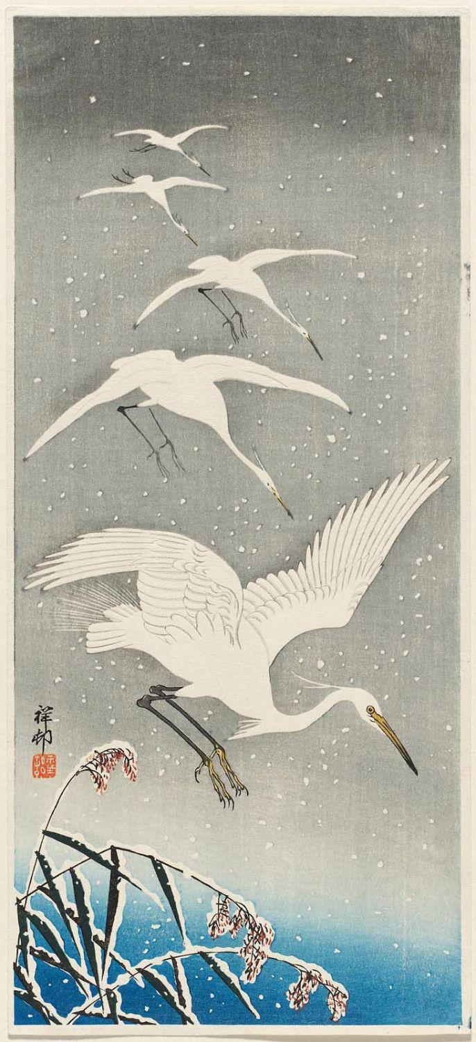 Ohara Koson - Five Egrets Descending in Snow