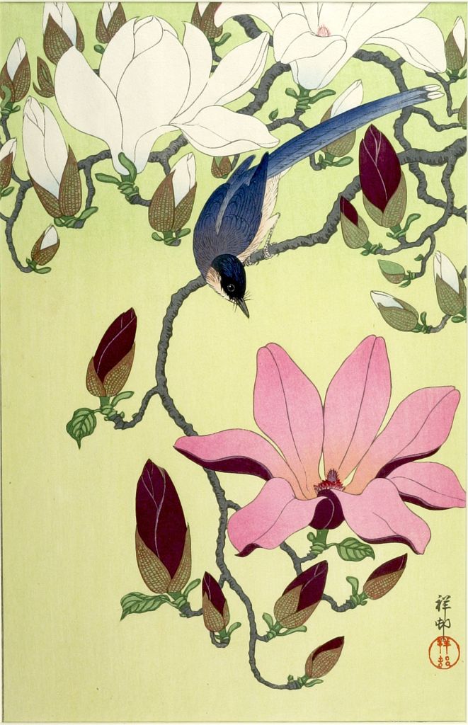 Ohara Koson - Magpie with Pink and White Magnolia Blossoms, Shôwa period, circa 1931