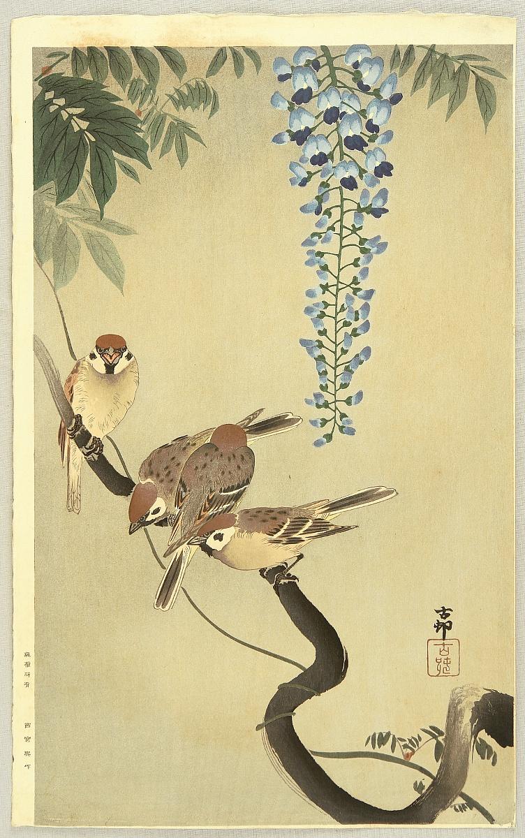 Ohara Koson - Sparrows and Wisteria