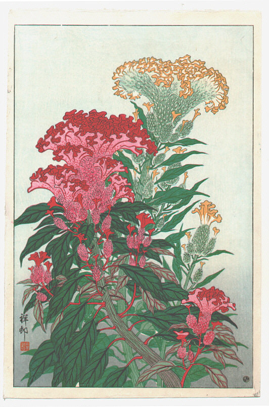 Ohara Koson - Flowering Coxcomb