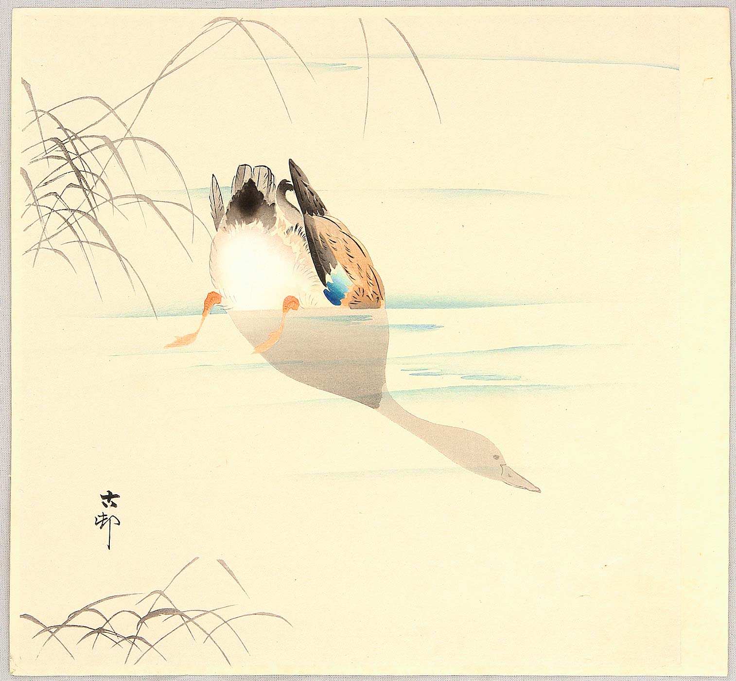 Ohara Koson - Diving Mallard